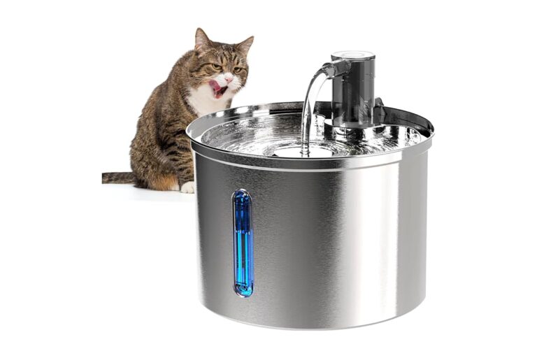 Bebedouro Fonte Água 3L Inox para Pets é Bom? Análise Completa